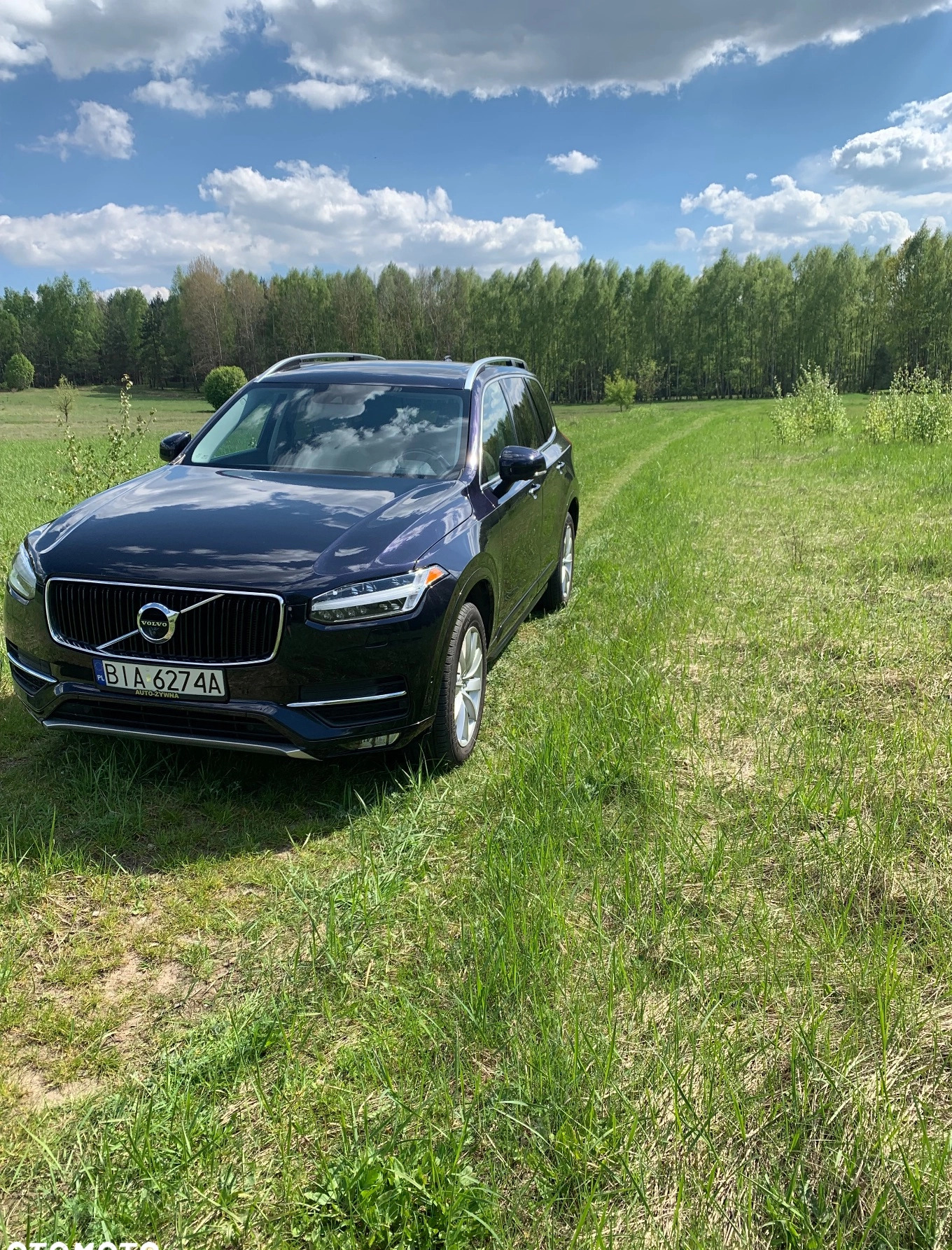 Volvo XC 90 cena 115000 przebieg: 151500, rok produkcji 2015 z Wołczyn małe 781